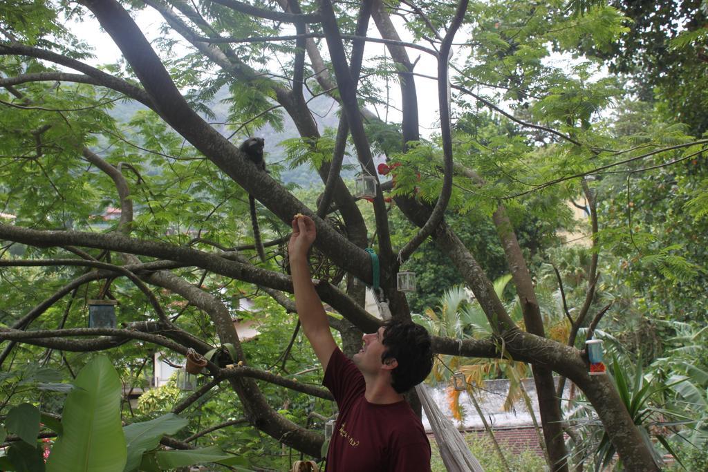 Butterfly Vanazul Guesthouse Rio de Janeiro Zewnętrze zdjęcie