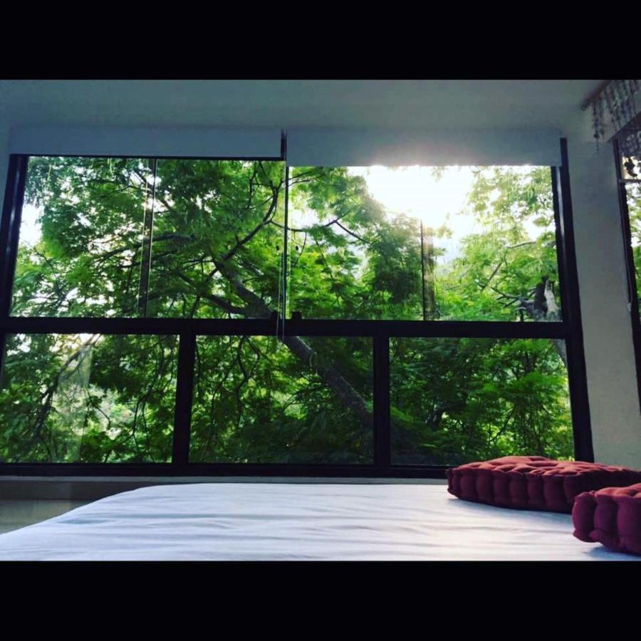 Butterfly Vanazul Guesthouse Rio de Janeiro Zewnętrze zdjęcie